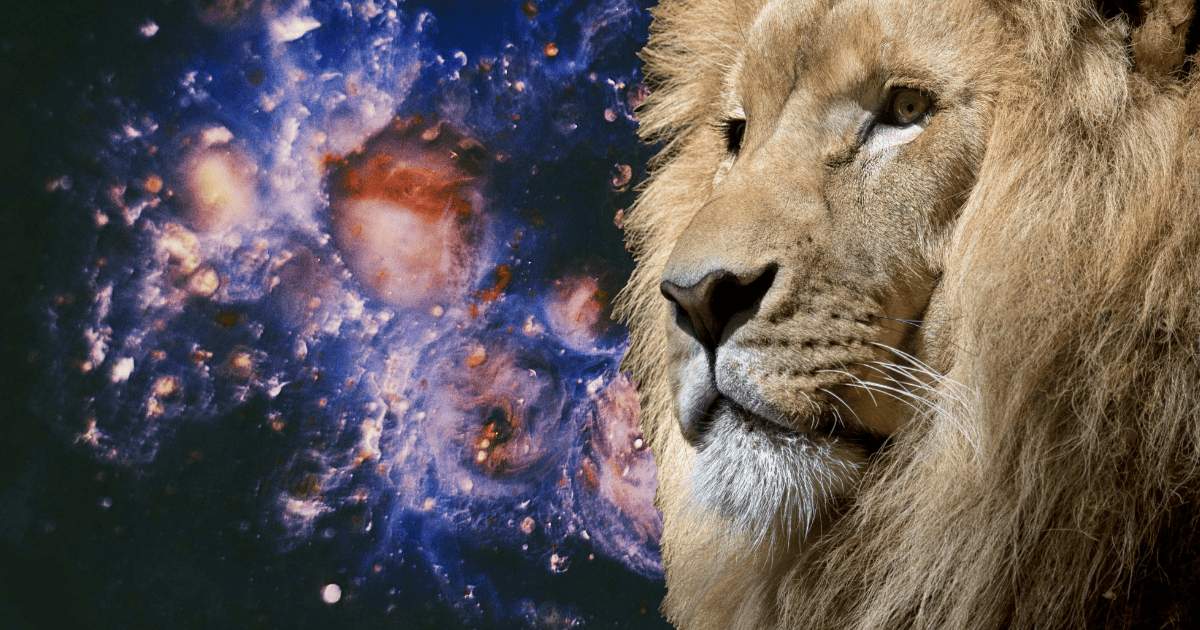 a lions head in front of starry sky | How To Manifest With The Lions Gate Portal | The Aligned Life Manifestation Blog