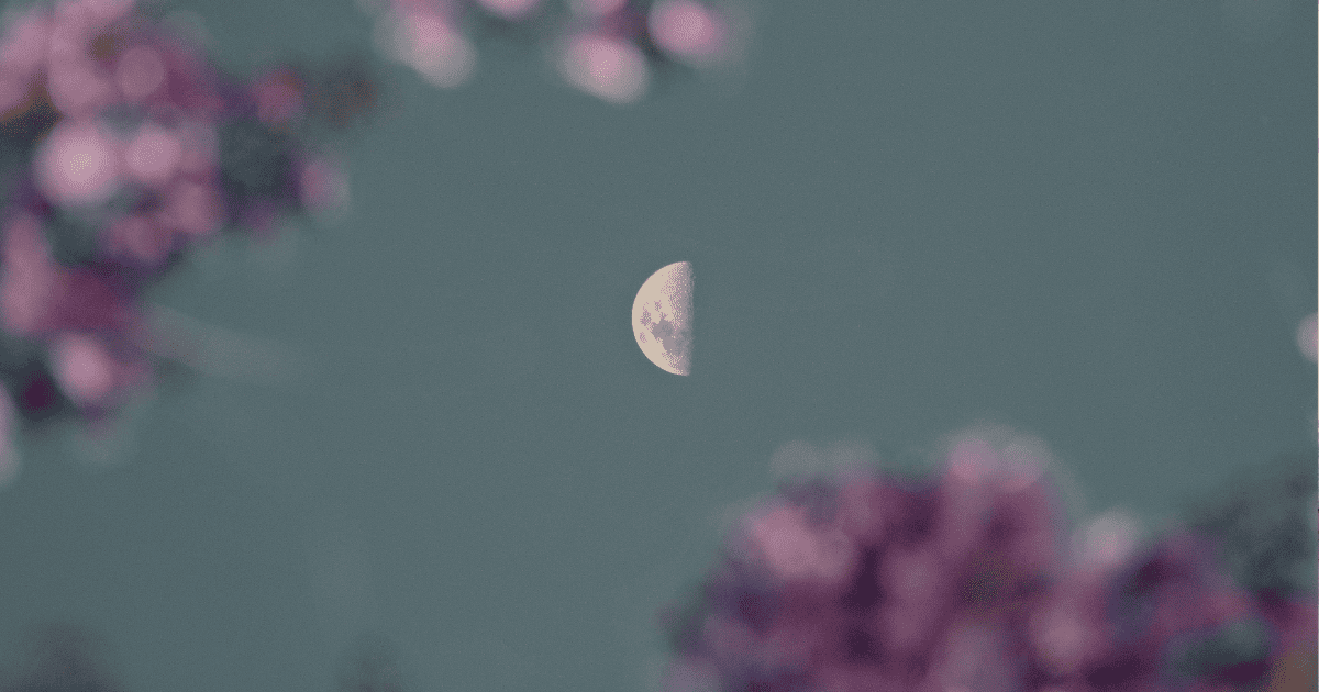 purple leaves with moon in the sky | Moon Phase Magick: Harness The Power of Moon Phases | The Aligned Life Manifestation Blog