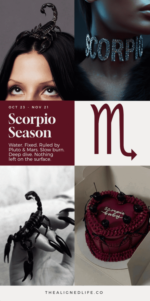 Scorpio Season Report: Ritual Ideas, Journal Prompts + More